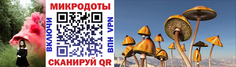 где купить наркотик Мостовской Псилоцибиновые грибы ЛСД